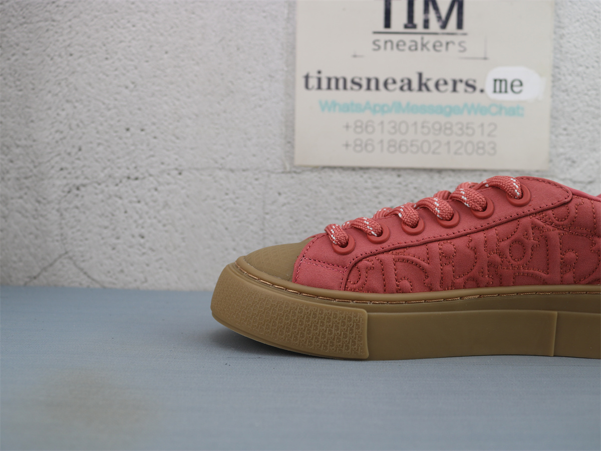 Stone Island x Dior B33 Skateboard Shoes Low-Top Red